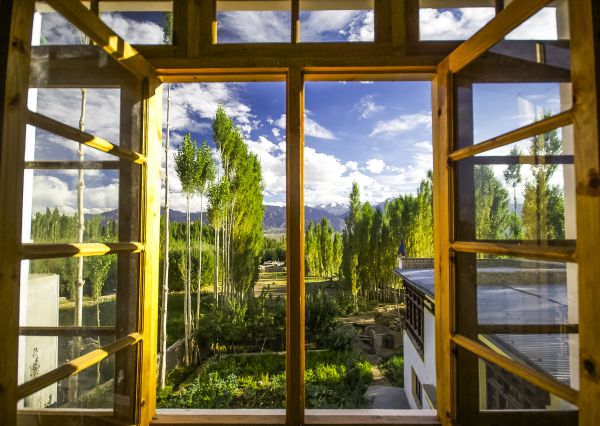 Cost of Wood Window Replacement in Riverside